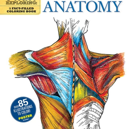 Start Exploring: Gray's Anatomy: A Fact-Filled Coloring Book