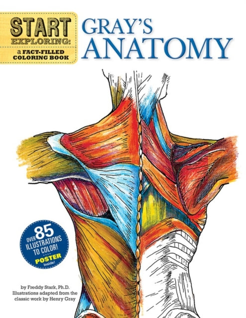 Start Exploring: Gray's Anatomy: A Fact-Filled Coloring Book