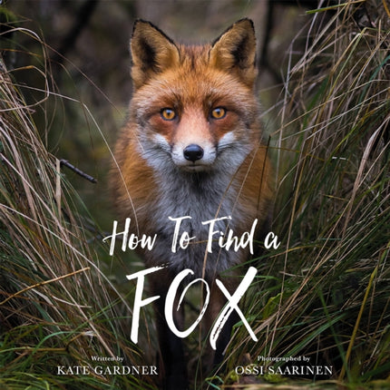 How to Find a Fox