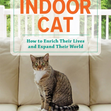 Indoor Cat: How to Enrich their Lives and Expand their World