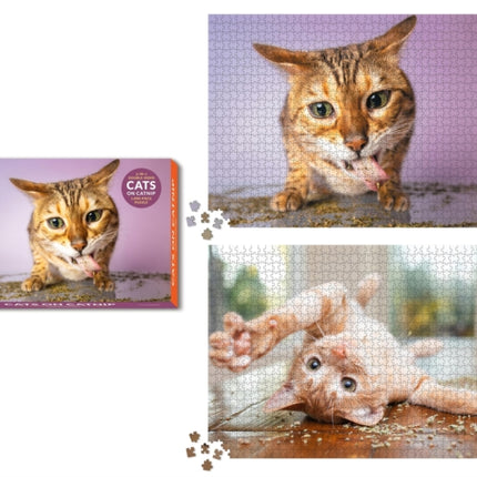 Cats on Catnip 2in1 DoubleSided 1000Piece Puzzle