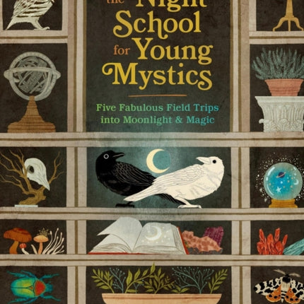 The Night School for Young Mystics