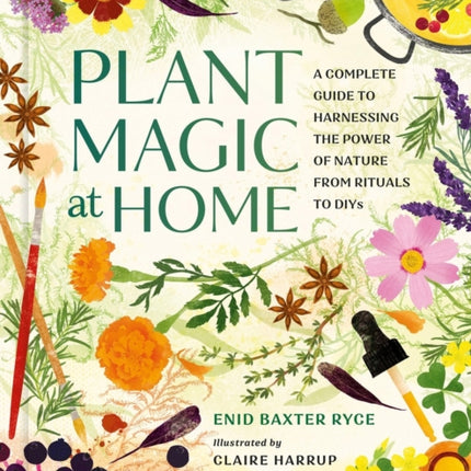 Plant Magic at Home