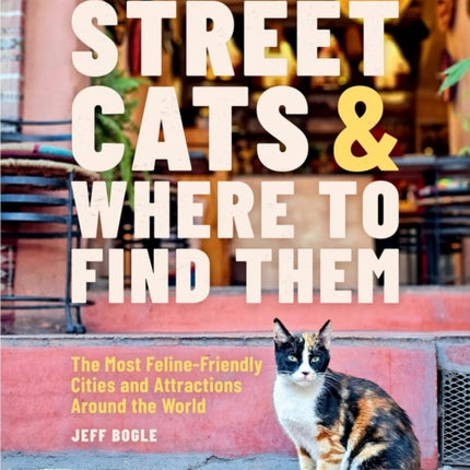 Street Cats  Where to Find Them