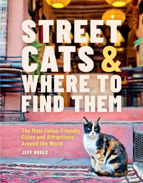 Street Cats  Where to Find Them
