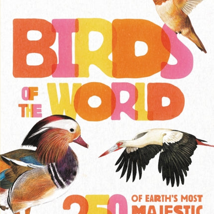 Birds of the World: 250 of Earth's Most Majestic Creatures