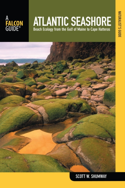 Naturalist's Guide to the Atlantic Seashore: Beach Ecology From The Gulf Of Maine To Cape Hatteras