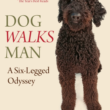 Dog Walks Man