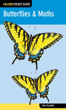 Butterflies  Moths
