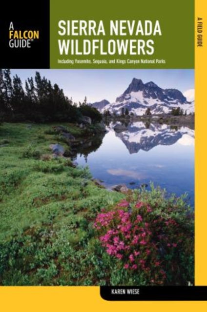 Sierra Nevada Wildflowers A Field Guide to Common