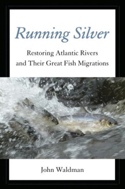 Running Silver Restoring Atlantic Rivers And