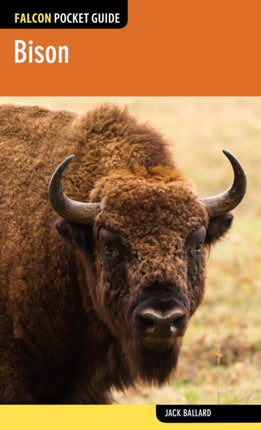 Bison