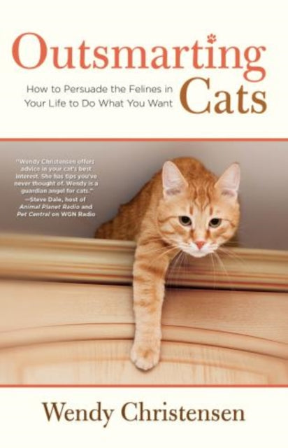 Outsmarting Cats: How To Persuade The Felines In Your Life To Do What You Want