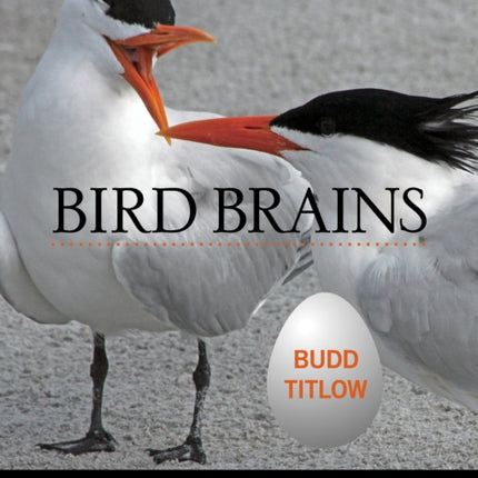 Bird Brains: Inside The Strange Minds Of Our Fine Feathered Friends