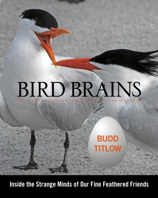 Bird Brains: Inside The Strange Minds Of Our Fine Feathered Friends