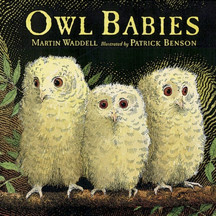 Owl Babies Big Book