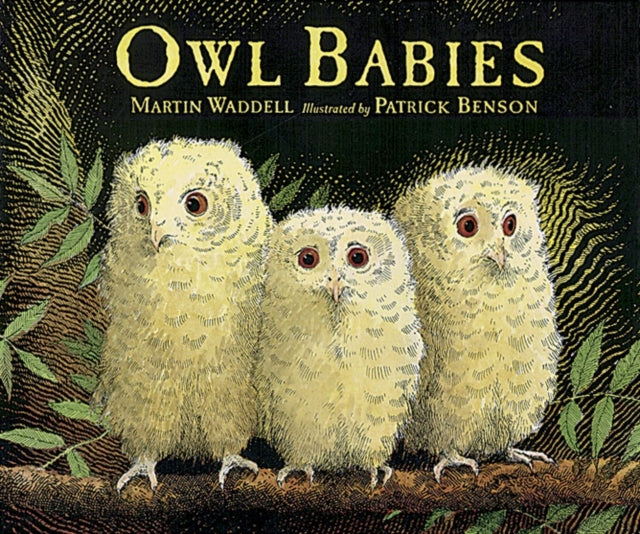 Owl Babies Big Book