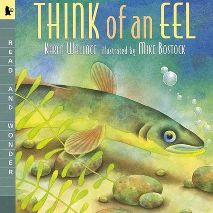 Think of an Eel: Read and Wonder