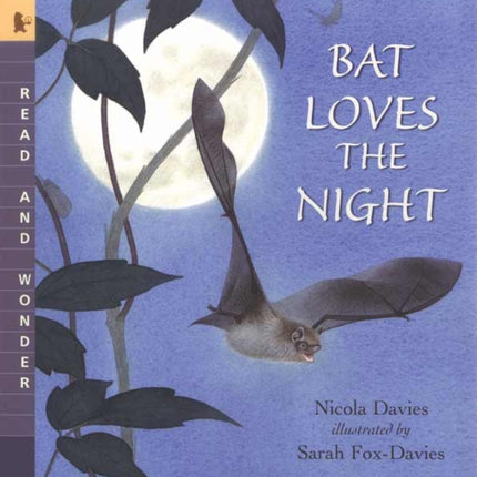 Bat Loves the Night: Read and Wonder