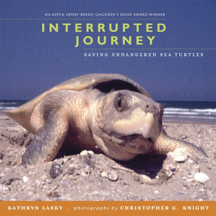 Interrupted Journey: Saving Endangered Sea Turtles