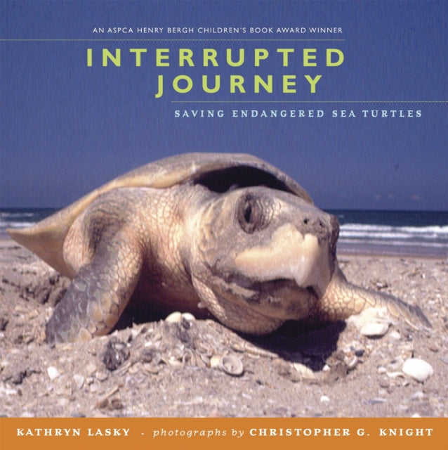 Interrupted Journey: Saving Endangered Sea Turtles