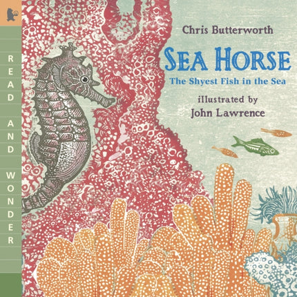 Sea Horse The Shyest Fish in the Sea