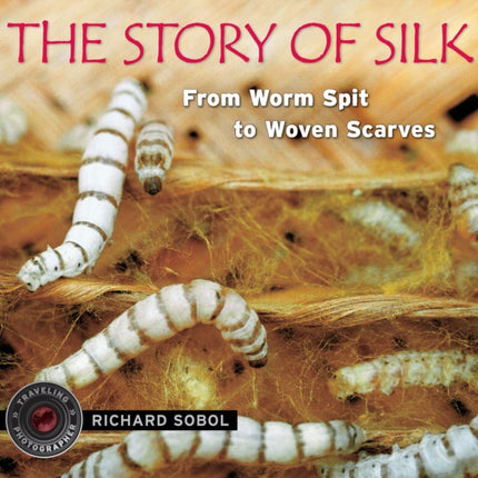 The Story of Silk: From Worm Spit to Woven Scarves