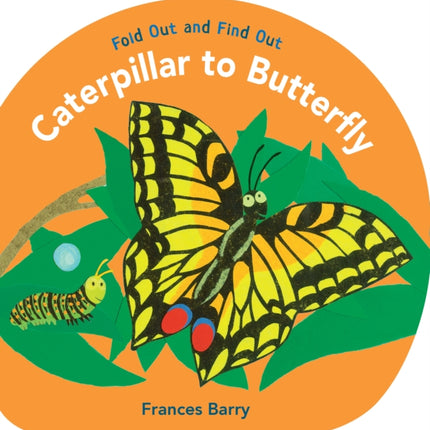 Caterpillar to Butterfly: Fold Out and Find Out