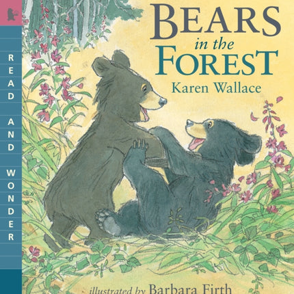 Bears in the Forest: Read & Wonder