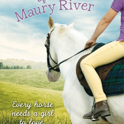 Chancey: Horses of the Maury River Stables