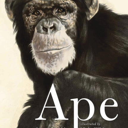 Ape