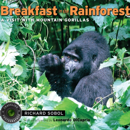 Breakfast in the Rainforest: A Visit with Mountain Gorillas