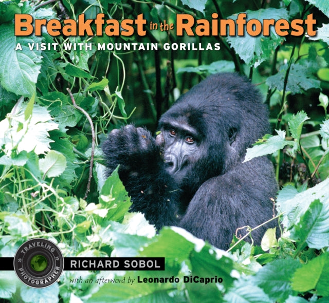 Breakfast in the Rainforest: A Visit with Mountain Gorillas