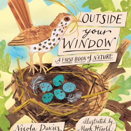 Outside Your Window: A First Book of Nature