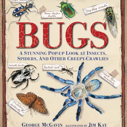 Bugs: A Stunning Pop-up Look at Insects, Spiders, and Other Creepy-Crawlies