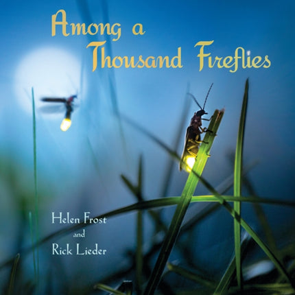 Among a Thousand Fireflies