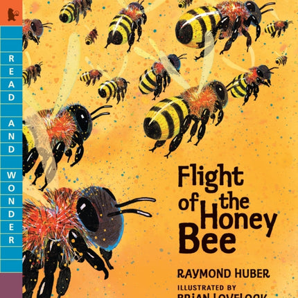 Flight of the Honey Bee