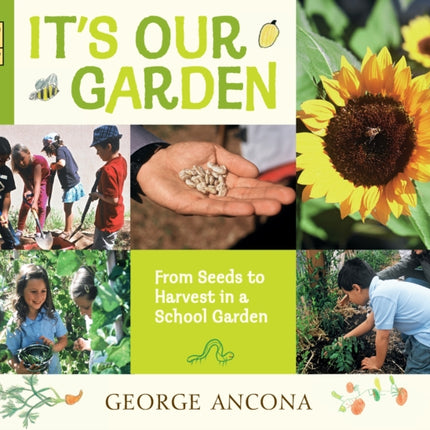 It's Our Garden: From Seeds to Harvest in a School Garden