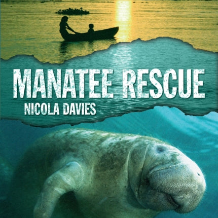 Manatee Rescue