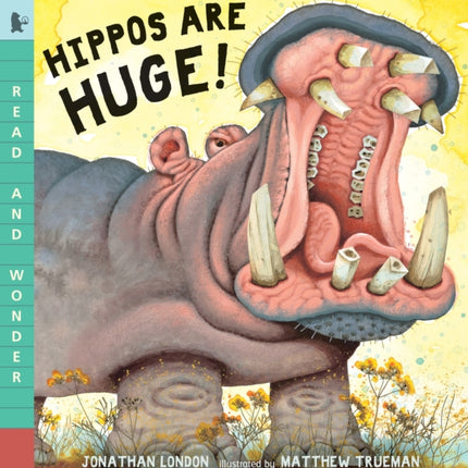 Hippos Are Huge Read and Wonder