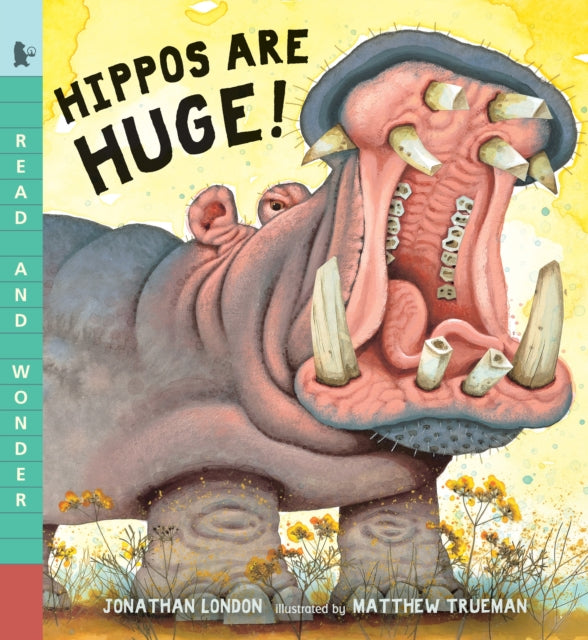 Hippos Are Huge Read and Wonder