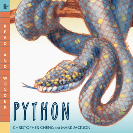 Python