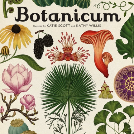 Botanicum: Welcome to the Museum