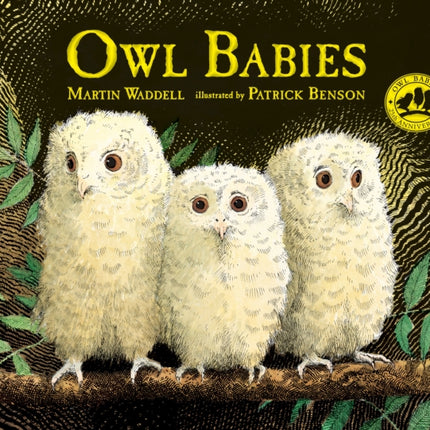 Owl Babies