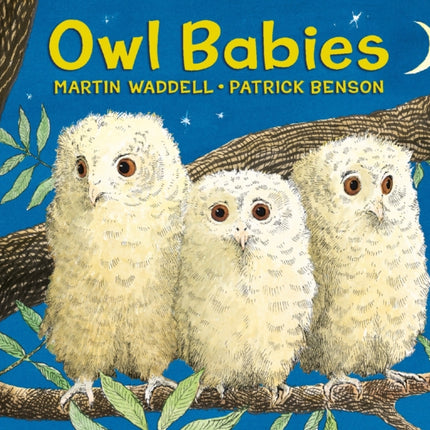 Owl Babies Oversized Board Book