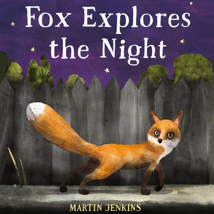 Fox Explores the Night: A First Science Storybook