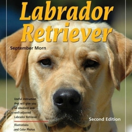 Training Your Labrador Retriever