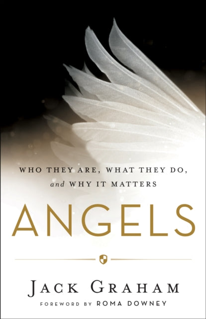 Angels – Who They Are, What They Do, and Why It Matters