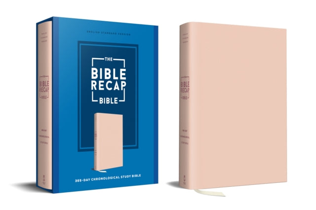 The Bible Recap 365Day Chronological Study Bible