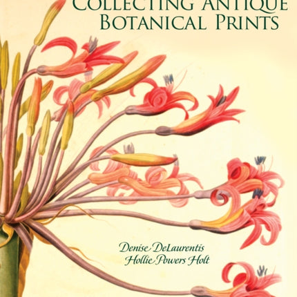 The Art of the Garden: Collecting Antique Botanical Prints